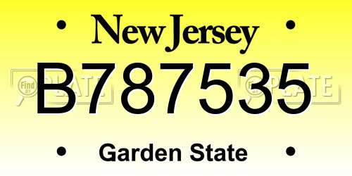 B787535 New Jersey License Plate