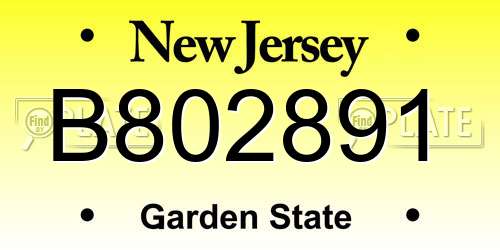 B802891 New Jersey License Plate