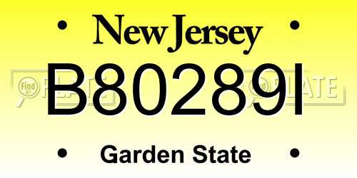 B80289I New Jersey License Plate