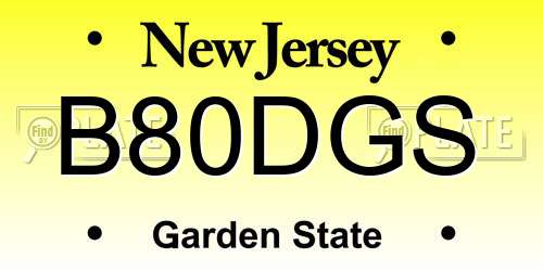B80DGS New Jersey License Plate