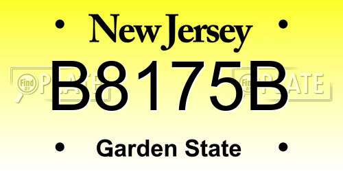 B8175B New Jersey License Plate
