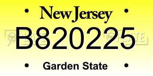 B820225 New Jersey License Plate