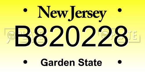 B820228 New Jersey License Plate