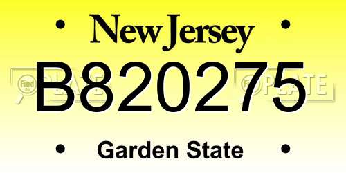 B820275 New Jersey License Plate