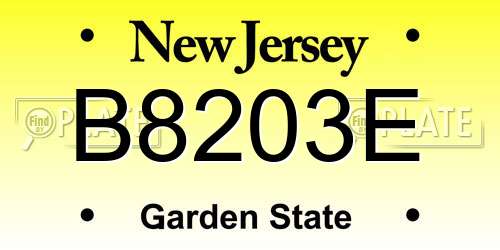 B8203E New Jersey License Plate