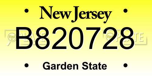 B820728 New Jersey License Plate