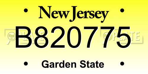 B820775 New Jersey License Plate