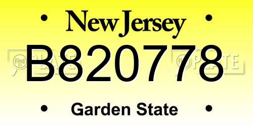 B820778 New Jersey License Plate