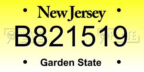 B821519 New Jersey License Plate