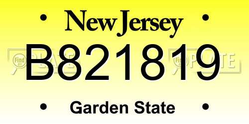 B821819 New Jersey License Plate