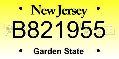 B821955 New Jersey License Plate