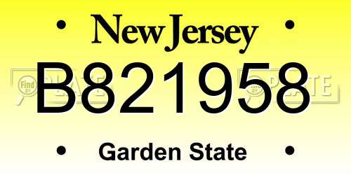 B821958 New Jersey License Plate
