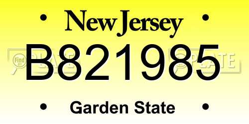 B821985 New Jersey License Plate