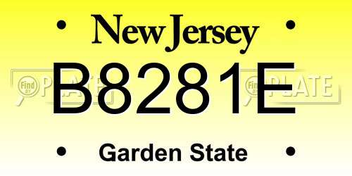 B8281E New Jersey License Plate