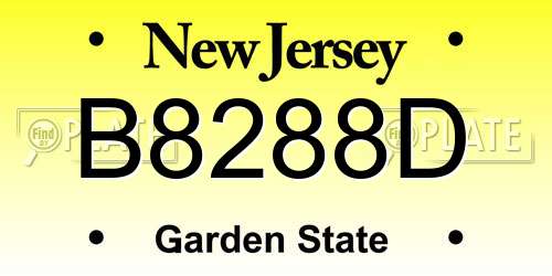 B8288D New Jersey License Plate