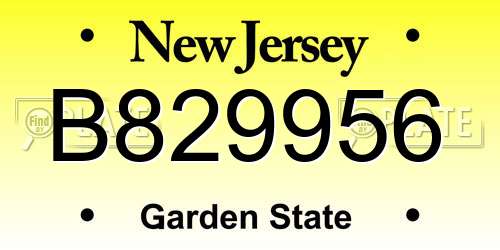 B829956 New Jersey License Plate