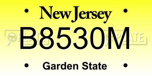 B8530M New Jersey License Plate
