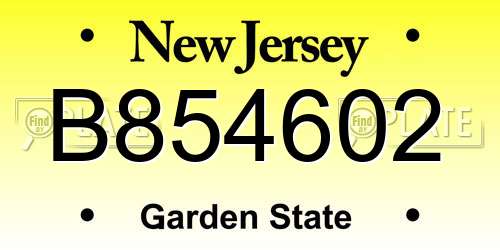 B854602 New Jersey License Plate