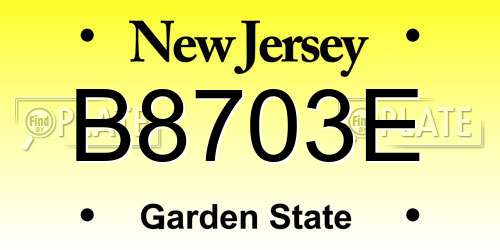 B8703E New Jersey License Plate