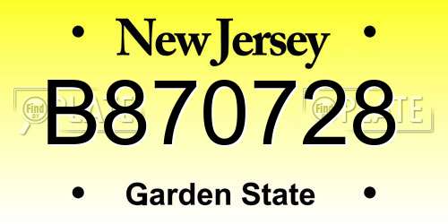B870728 New Jersey License Plate