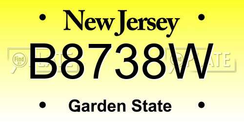 B8738W New Jersey License Plate