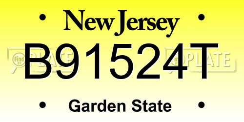 B91524T New Jersey License Plate