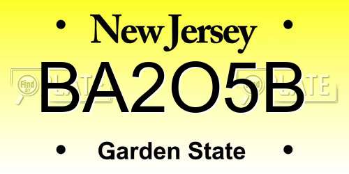 BA2O5B New Jersey License Plate