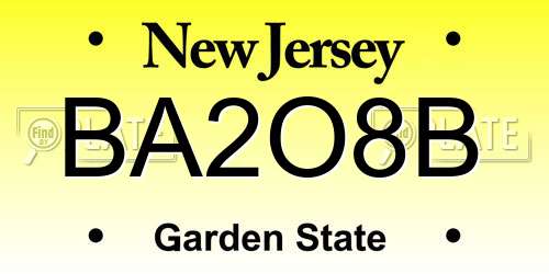 BA2O8B New Jersey License Plate
