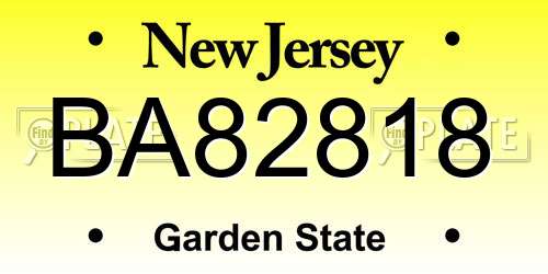 BA82818 New Jersey License Plate