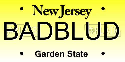 BADBLUD New Jersey License Plate