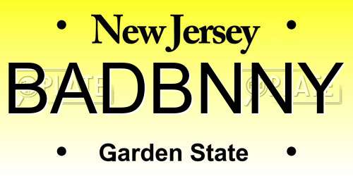 BADBNNY New Jersey License Plate