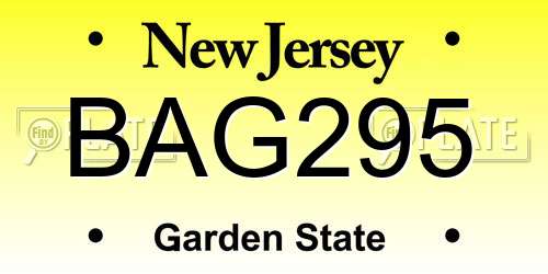 BAG295 New Jersey License Plate