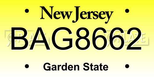 BAG8662 New Jersey License Plate