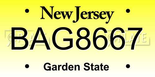 BAG8667 New Jersey License Plate