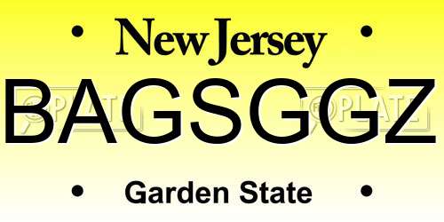 BAGSGGZ New Jersey License Plate