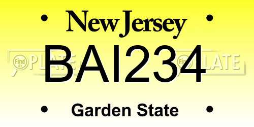 BAI234 New Jersey License Plate