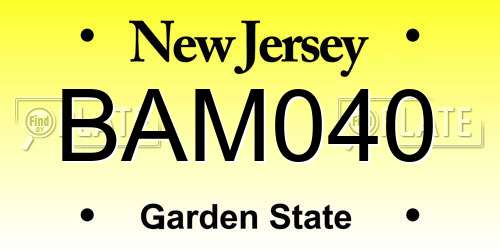 BAM040 New Jersey License Plate