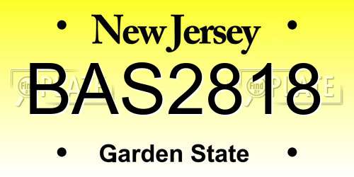 BAS2818 New Jersey License Plate