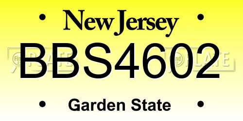 BBS4602 New Jersey License Plate