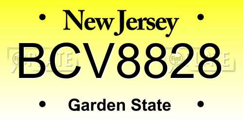 BCV8828 New Jersey License Plate
