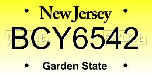 BCY6542 New Jersey License Plate