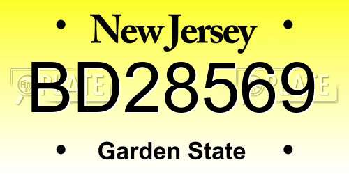 BD28569 New Jersey License Plate