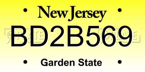 BD2B569 New Jersey License Plate