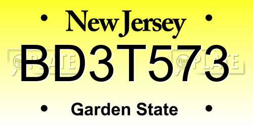 BD3T573 New Jersey License Plate