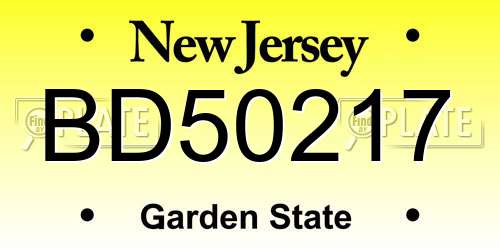 BD50217 New Jersey License Plate