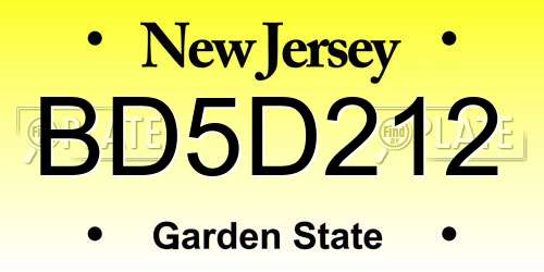 BD5D212 New Jersey License Plate