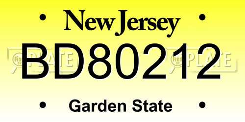 BD80212 New Jersey License Plate