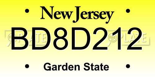 BD8D212 New Jersey License Plate