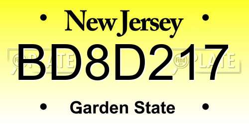BD8D217 New Jersey License Plate