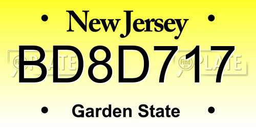BD8D717 New Jersey License Plate